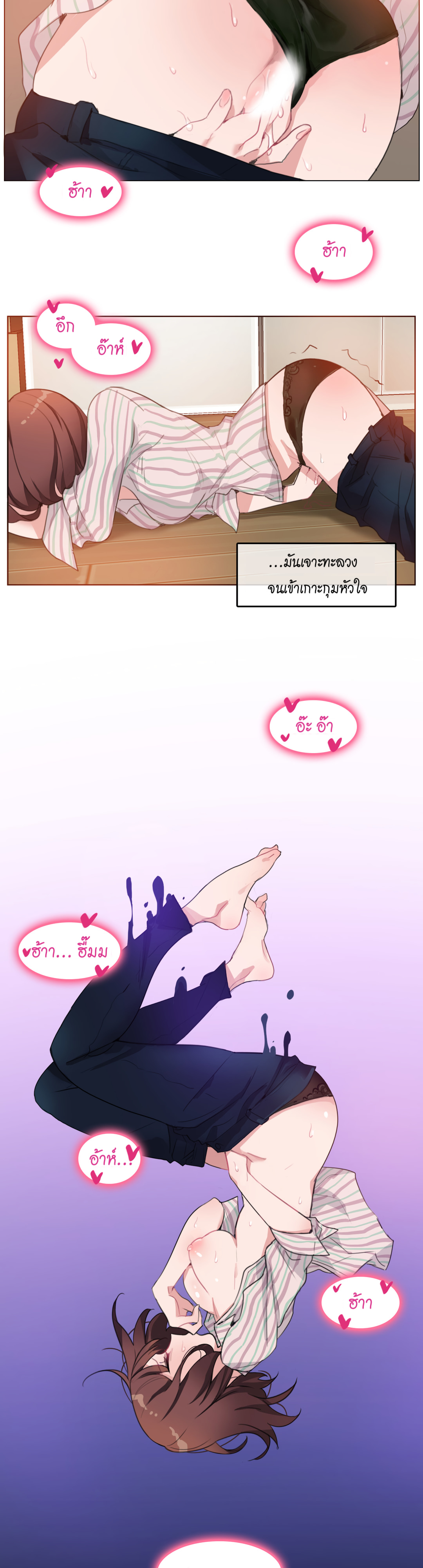 005